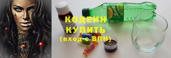 мдпв Дмитриев