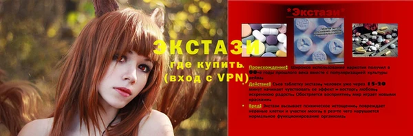 гидра Гусев