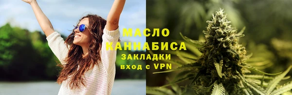 гидра Гусев
