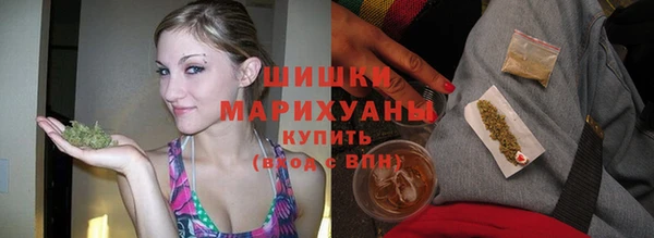 мдпв Дмитриев