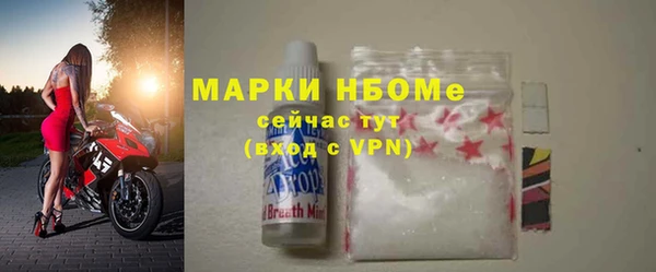 гидра Гусев