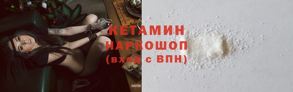 гидра Гусев