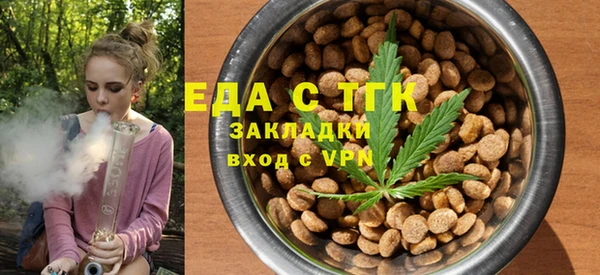 гидра Гусев