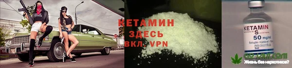 мдпв Дмитриев