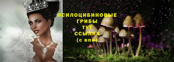 стафф Гусиноозёрск