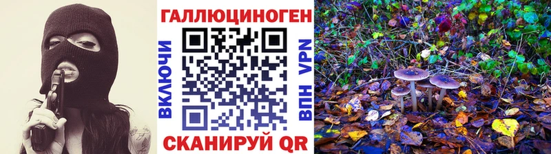 что такое   Ельня  Галлюциногенные грибы Magic Shrooms 